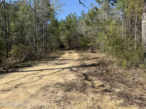 County Road 4103, Sallis, MS 39160 photo 2