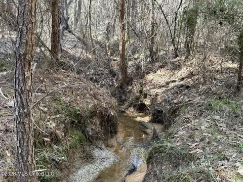 County Road 4103, Sallis, MS 39160 photo 6