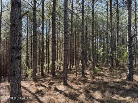 County Road 4103, Sallis, MS 39160 photo 8