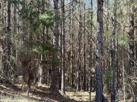 County Road 4103, Sallis, MS 39160 photo 4