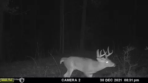County Road 4103, Sallis, MS 39160 photo 16