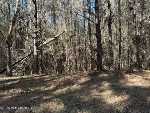 County Road 4103, Sallis, MS 39160 photo 3