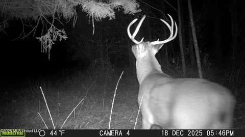 Co Rd 5005, Kosciusko, MS 39090 photo 11