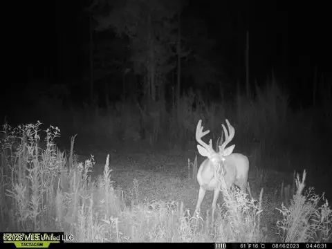 Co Rd 5005, Kosciusko, MS 39090 photo 9