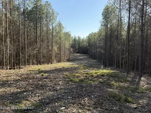 Co Rd 5005, Kosciusko, MS 39090 photo 2