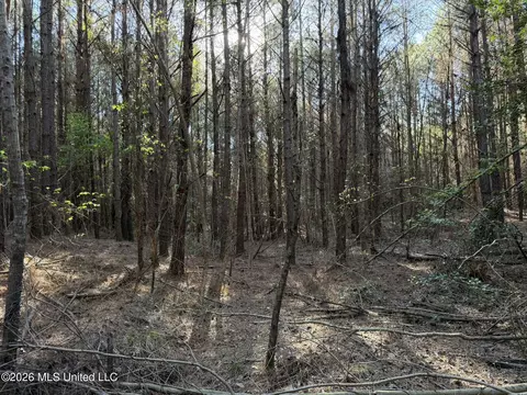 Co Rd 5005, Kosciusko, MS 39090 photo 3