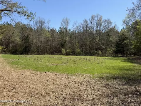 County Road 4102, Goodman, MS 39079 photo 3
