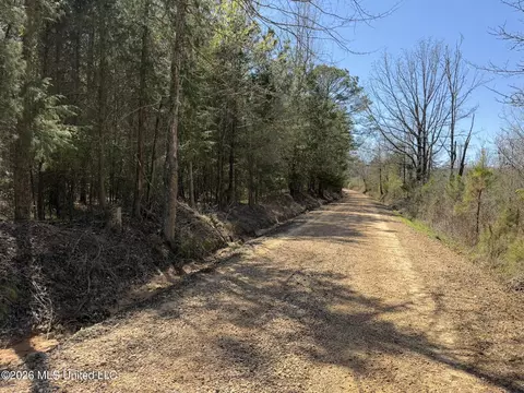 County Road 4102, Goodman, MS 39079 photo 15