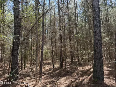 County Road 4102, Goodman, MS 39079 photo 2