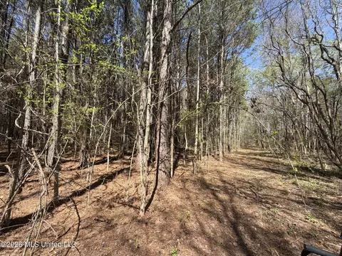 County Road 4102, Goodman, MS 39079 photo 5