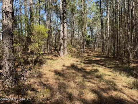 County Road 4102, Goodman, MS 39079 photo 13