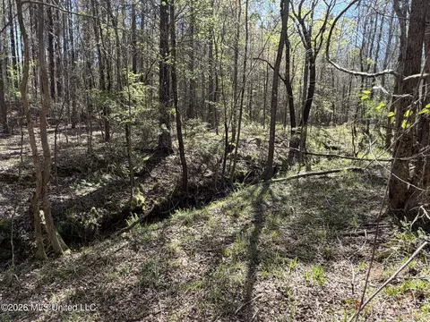 County Road 4102, Goodman, MS 39079 photo 8
