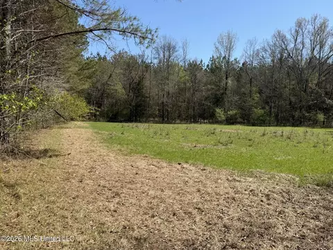 County Road 4102, Goodman, MS 39079 photo 4