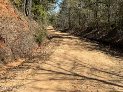 County Road 4102, Goodman, MS 39079 photo 17
