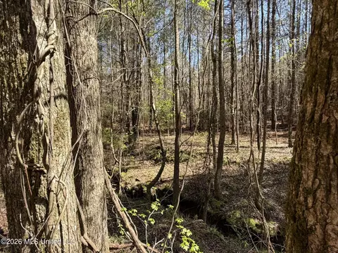 County Road 4102, Goodman, MS 39079 photo 9