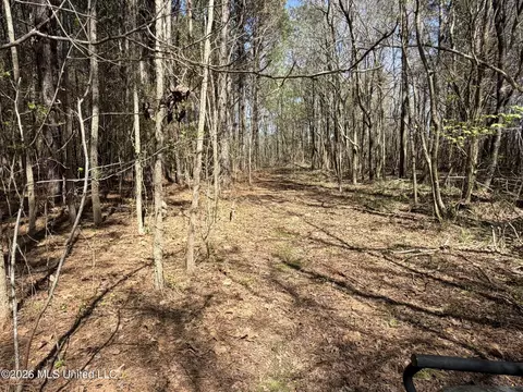 County Road 4102, Goodman, MS 39079 photo 7