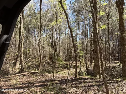 County Road 4102, Goodman, MS 39079 photo 6