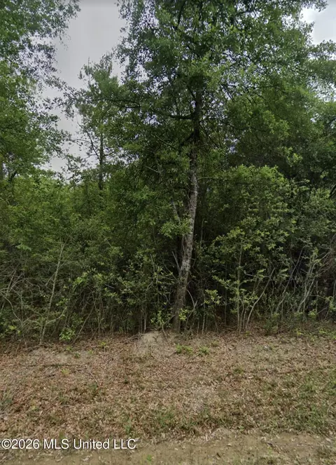 25079 Ramsey Rd, Saucier, MS 39574 photo 2