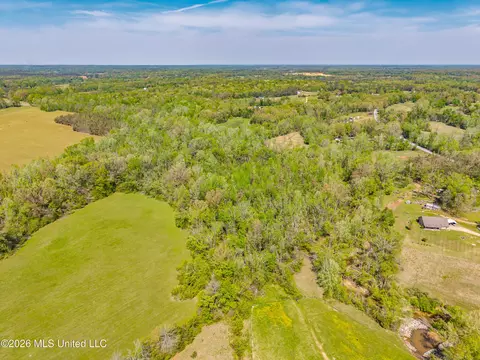 2836 Anthony Rd, Pope, MS 38658 photo 3