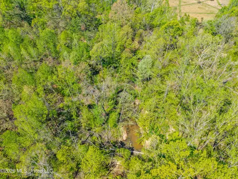 2836 Anthony Rd, Pope, MS 38658 photo 9
