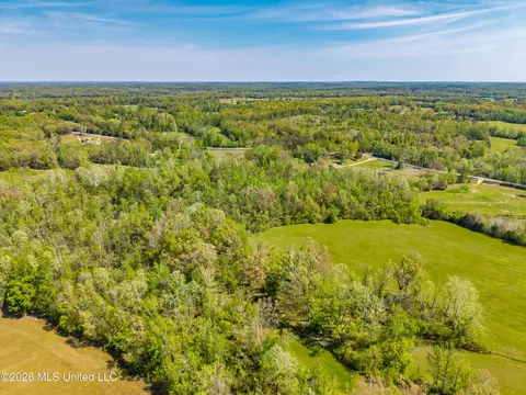 2836 Anthony Rd, Pope, MS 38658 photo 14