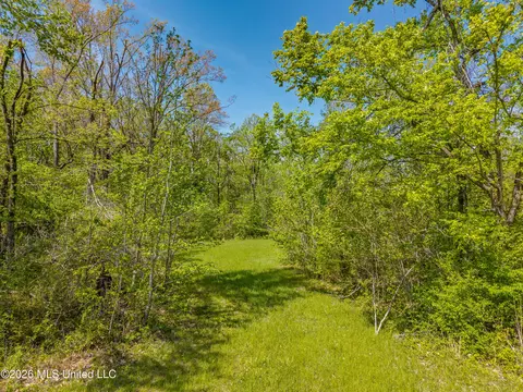 2836 Anthony Rd, Pope, MS 38658 photo 20