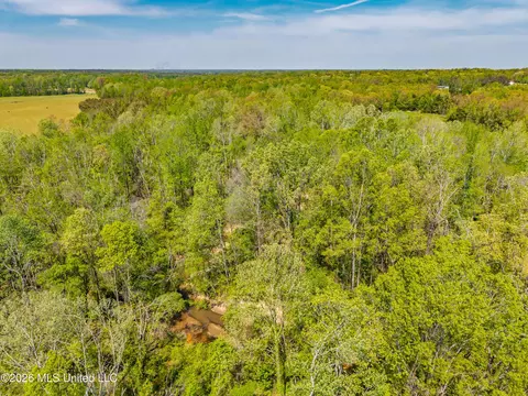2836 Anthony Rd, Pope, MS 38658 photo 11