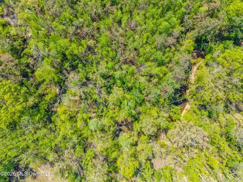 2836 Anthony Rd, Pope, MS 38658 photo 13