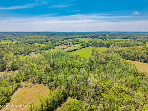 2836 Anthony Rd, Pope, MS 38658 photo 5