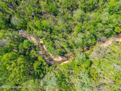 2836 Anthony Rd, Pope, MS 38658 photo 12