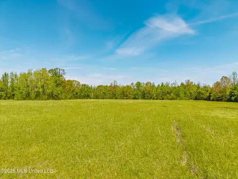 2836 Anthony Rd, Pope, MS 38658 photo 18