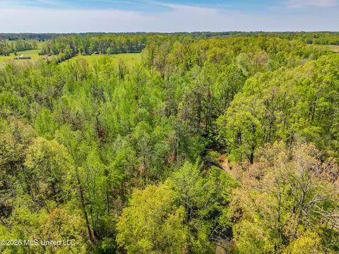 2836 Anthony Rd, Pope, MS 38658 photo 10