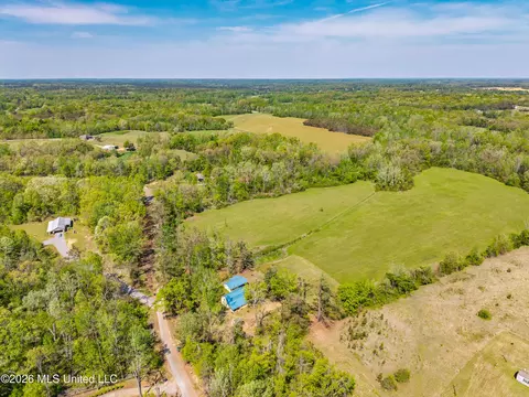 View/Area - 2857 Anthony Rd, Pope, MS 38658 photo 3 of 3