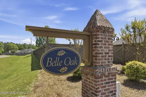 Other - 202 Belle Oak Dr, Brandon, MS 39042 photo 12 of 12