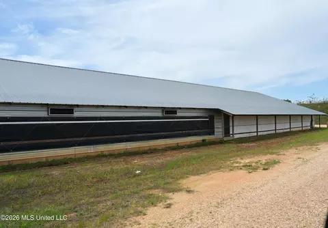 53 Jones Chapel Rd, Collins, MS 39428 photo 17