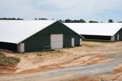 53 Jones Chapel Rd, Collins, MS 39428 photo 42