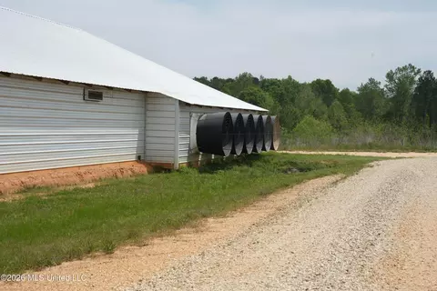 53 Jones Chapel Rd, Collins, MS 39428 photo 30