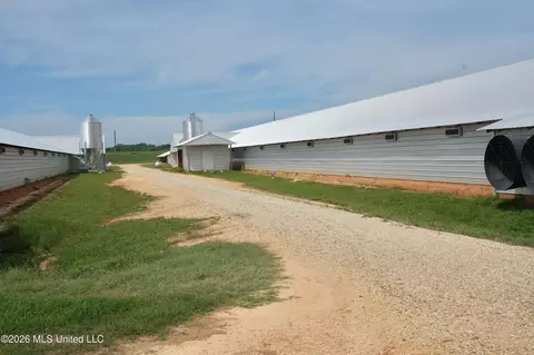 53 Jones Chapel Rd, Collins, MS 39428 photo 25