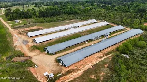 53 Jones Chapel Rd, Collins, MS 39428