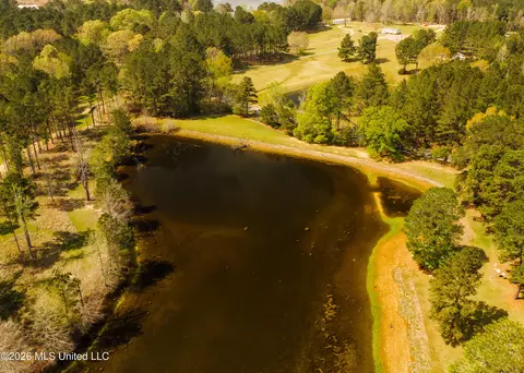 View/Area - 853 Spring Water Ranch Rd, Brandon, MS 39042 photo 6 of 10