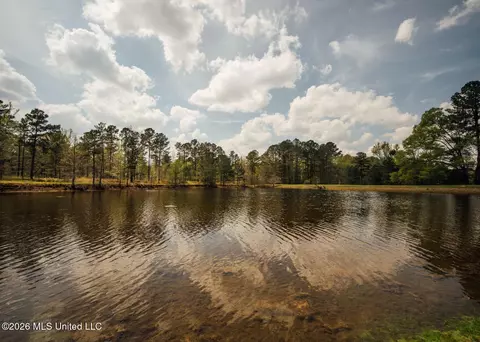 View/Area - 853 Spring Water Ranch Rd, Brandon, MS 39042 photo 8 of 10
