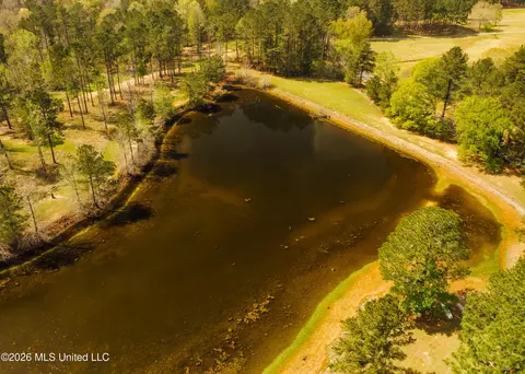 View/Area - 853 Spring Water Ranch Rd, Brandon, MS 39042 photo 1 of 10