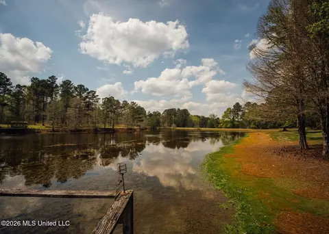 View/Area - 853 Spring Water Ranch Rd, Brandon, MS 39042 photo 9 of 10