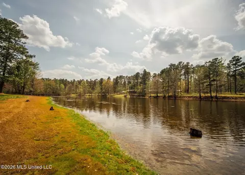 View/Area - 853 Spring Water Ranch Rd, Brandon, MS 39042 photo 7 of 10