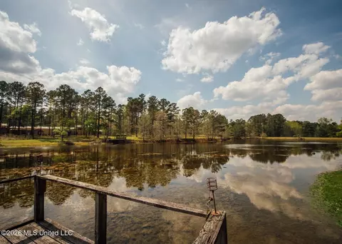 View/Area - 853 Spring Water Ranch Rd, Brandon, MS 39042 photo 10 of 10