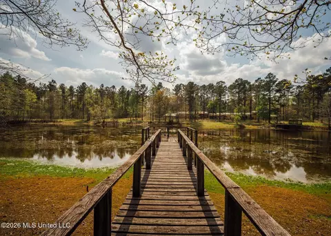 Other - 853 Spring Water Ranch Rd, Brandon, MS 39042 photo 17 of 17