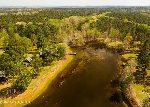 View/Area - 853 Spring Water Ranch Rd, Brandon, MS 39042 photo 3 of 10