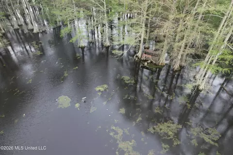 Shaw Road, Sledge, MS 38670 photo 8