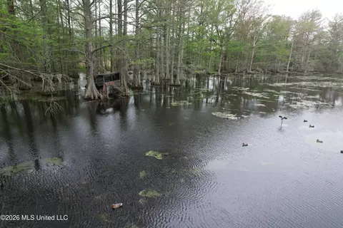 Shaw Road, Sledge, MS 38670 photo 20