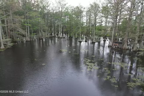 Shaw Road, Sledge, MS 38670 photo 10